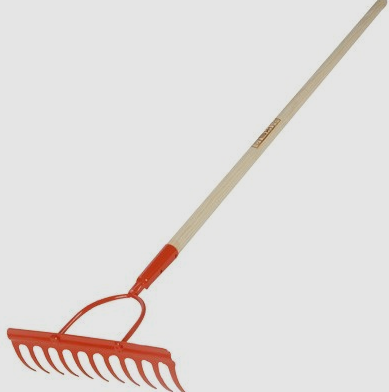솔표 레기